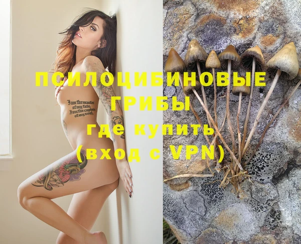 спиды Бугульма